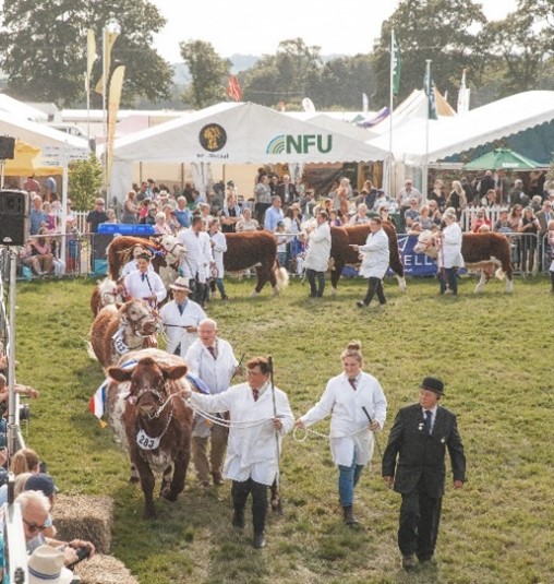 New Chair ensures Moreton Show will remain in safe hands